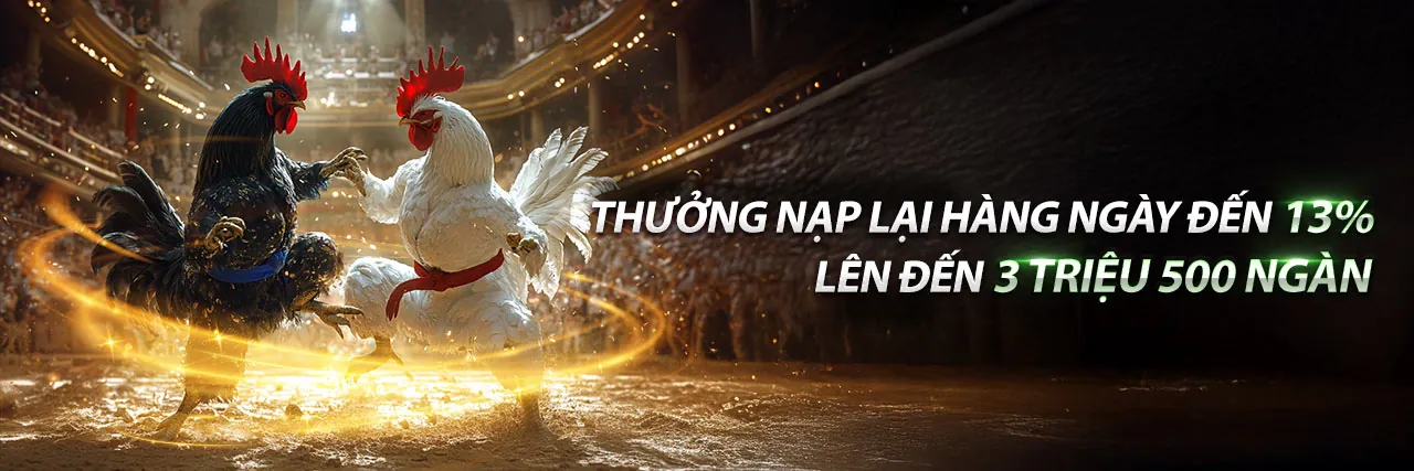Sân đấu đá gà sôi động tại h88 trang chủ chính thức
